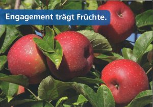 Symbolbild: Äpfel am Baum mit Text "Engagement trägt Früchte"